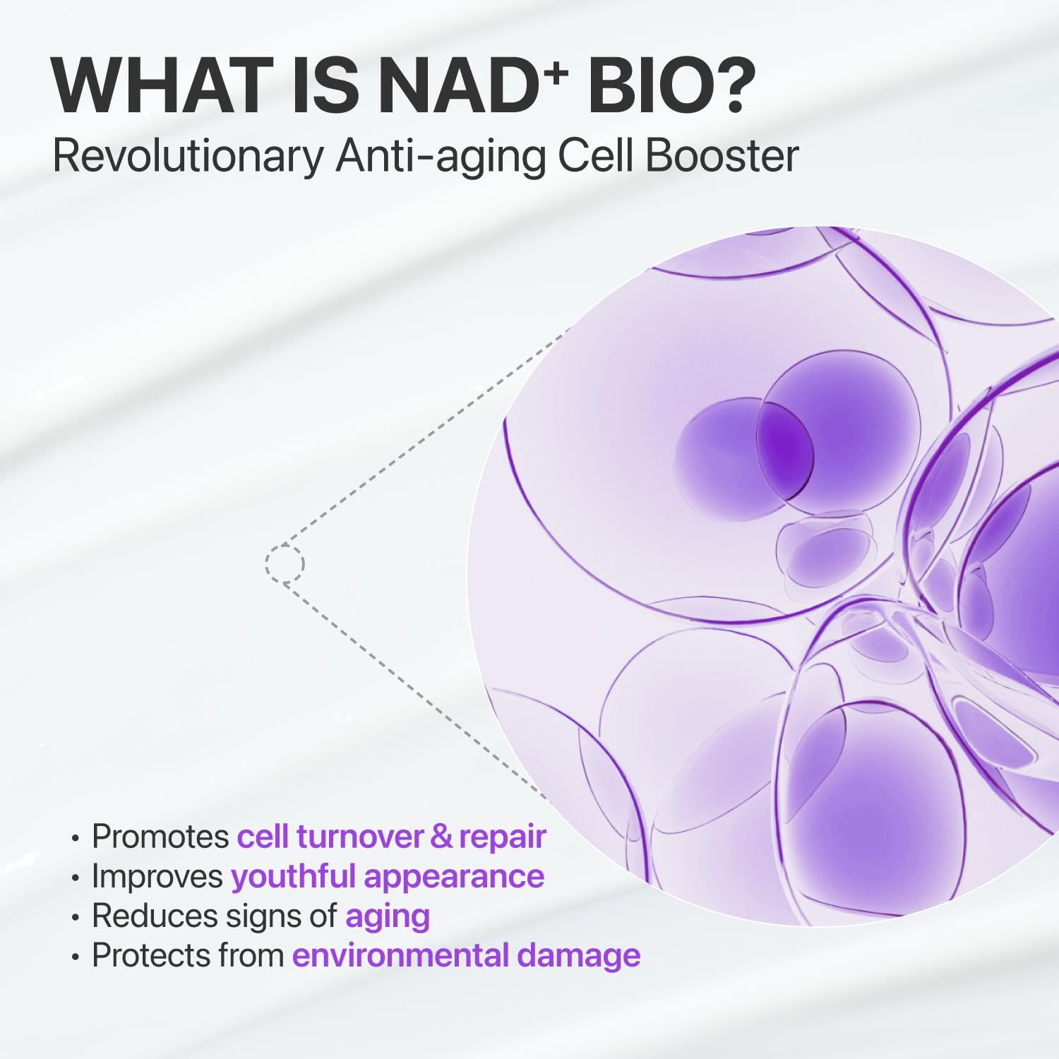 Numbuzin No.9 NAD+ Peptide Serum for Face,