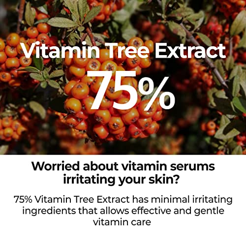 Numbuzin No.5 Serum  Goodbye Blemish Serum  for Acne Scars