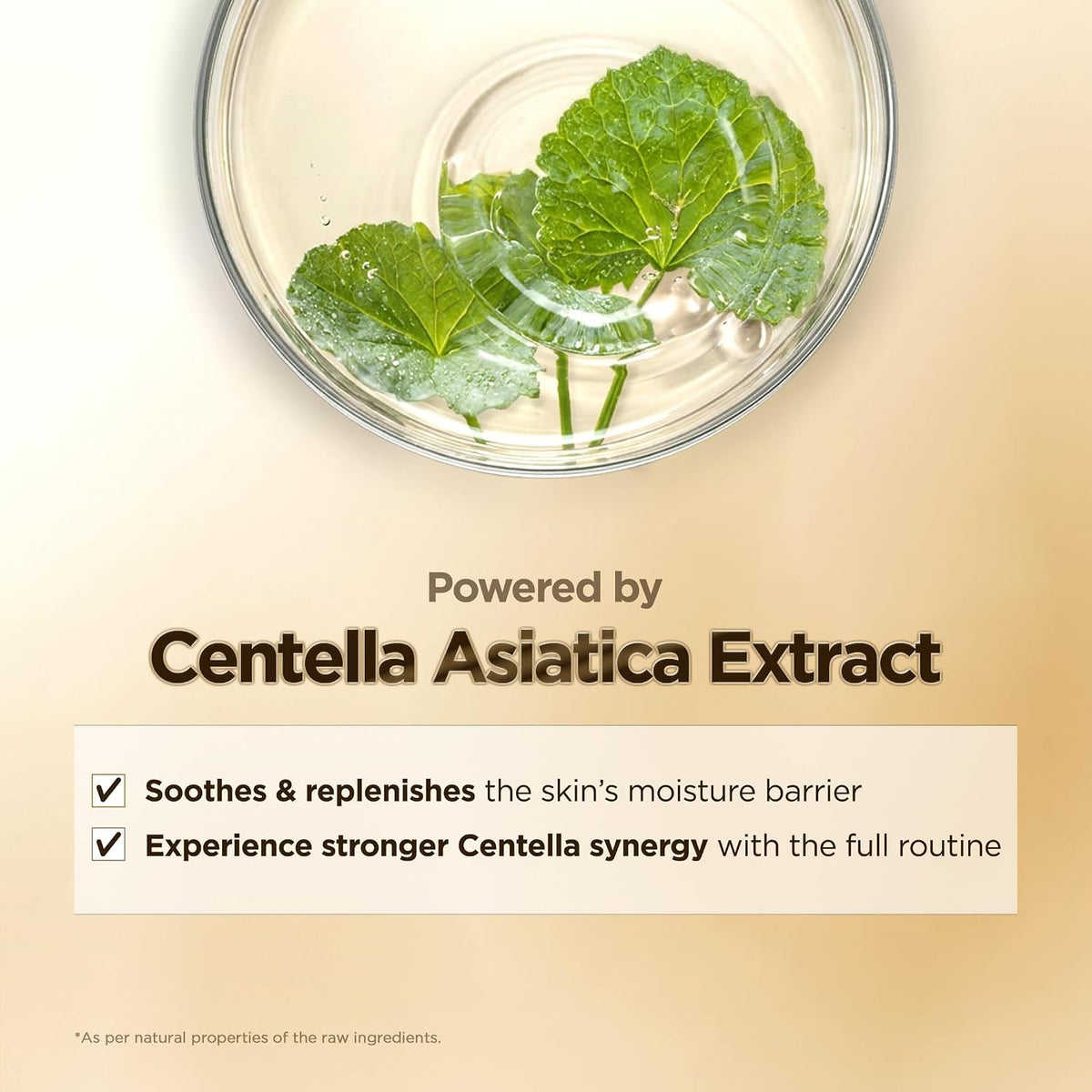 Madagascar Centella Travel Kit
