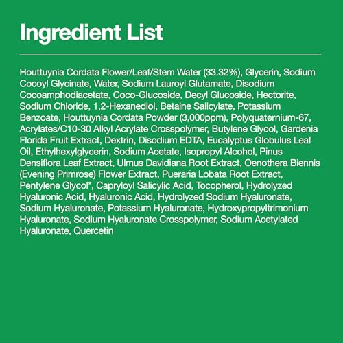 Anua Heartleaf Quercetinol Pore Deep Cleansing Foam