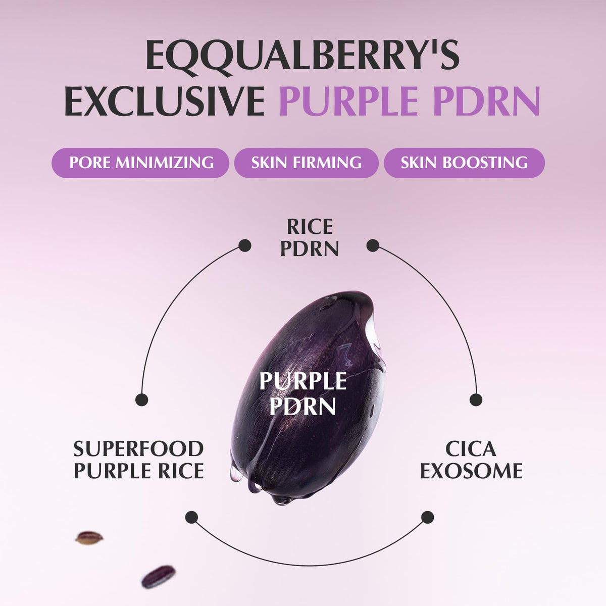 Eqqualberry - Purple Pdrn Pore Minimizing Serum