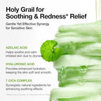 ANUA Azelaic Acid 10 Hyaluronic Acid Soothing Toner Pads