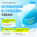 Eqqualberry Hyaltoin Flooding cream