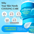 Eqqualberry Hyaltoin Flooding cream