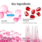 Eqqualberry Nad+ Peptide Boosting Cream (50ml)