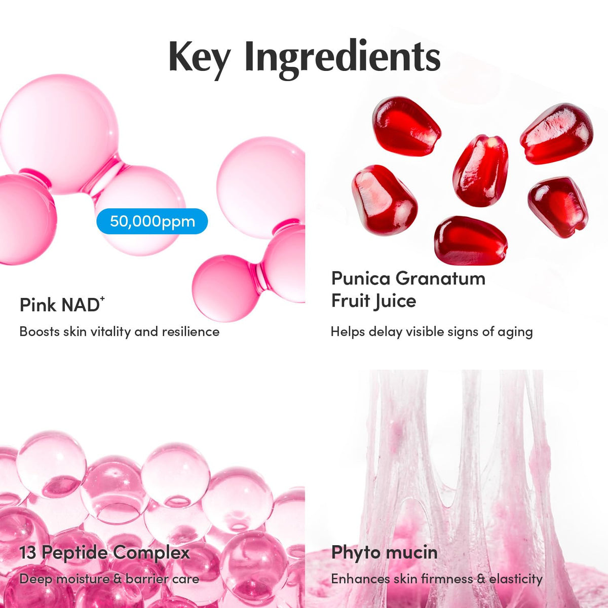 Eqqualberry Nad+ Peptide Boosting Cream (50ml)